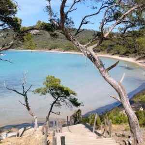 L’Échappée Insulaire